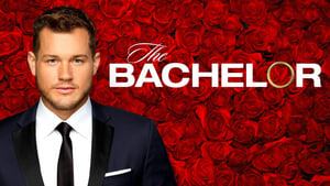 The Bachelor kép