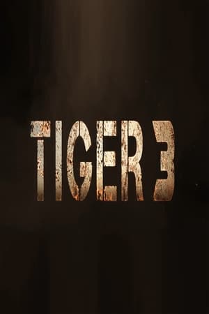 Tigris 3 poszter