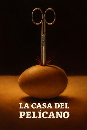 La casa del pelícano poszter