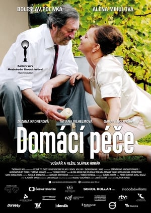 Domácí péče