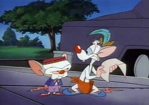 Pinky and the Brain 1. évad Ep.9 9. epizód