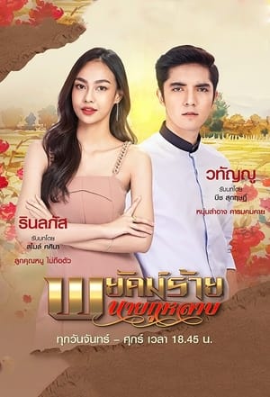 พยัคฆ์ร้ายนายกุหลาบ