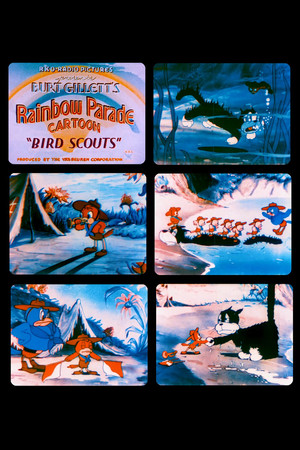 Bird Scouts poszter