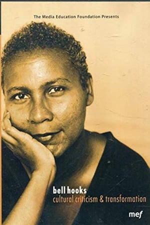 bell hooks: Cultural Criticism & Transformation poszter