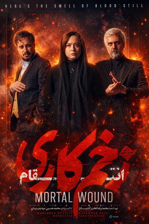 زخم کاری poszter