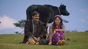 ऊनको स्वीटर háttérkép