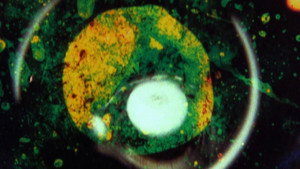 By Brakhage: An Anthology, Volume One háttérkép