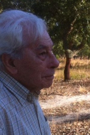 A Vossa Terra poszter
