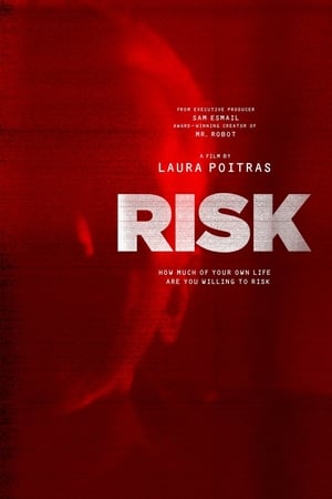 Risk poszter