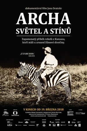 Archa světel a stínů poszter