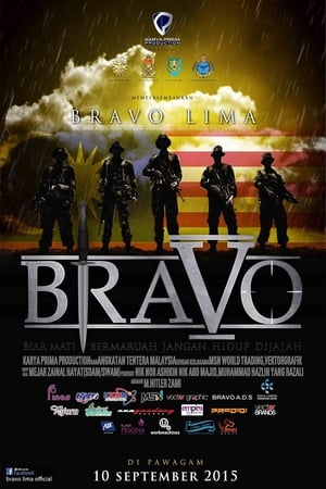 Bravo 5