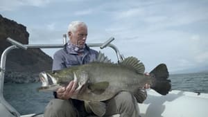 Ismeretlen vizeken Jeremy Wade-del 1. évad Ep.2 2. epizód