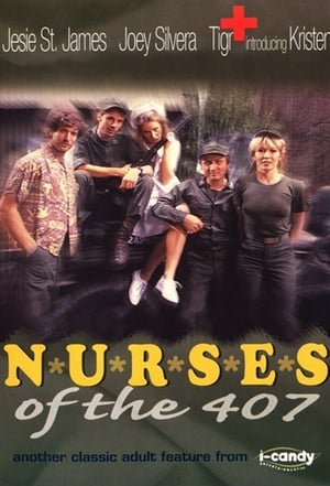 Nurses Of The 407 poszter