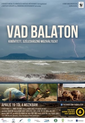 Vad Balaton