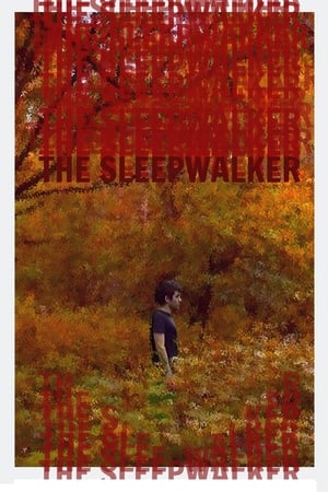 The Sleepwalker poszter