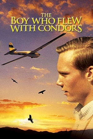 The Boy Who Flew with Condors poszter