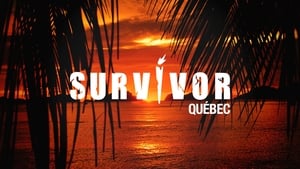 Survivor Québec kép