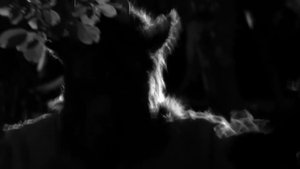Goatman háttérkép