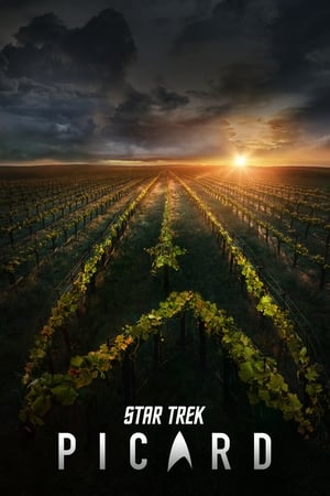 Star Trek: Picard poszter