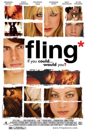 Fling poszter