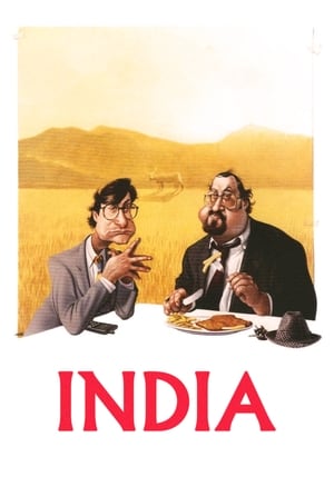 Indien - der Film poszter