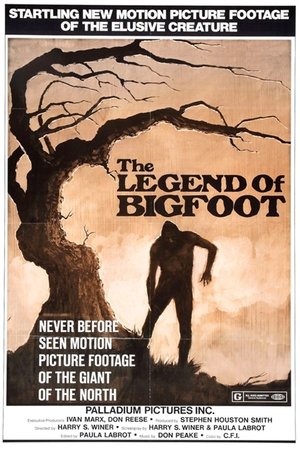 Bigfoot: Man or Beast? poszter
