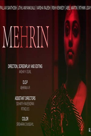 MEHRIN : A Prostitute’s Tale poszter
