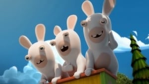 Rabbids: Invázió Season 1 Ep.61 61. epizód