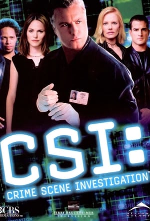 CSI: A helyszínelők poszter