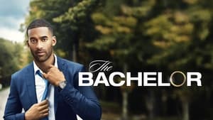 The Bachelor kép