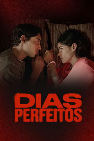 Dias Perfeitos poszter