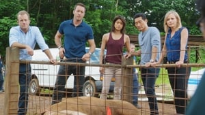 Hawaii Five-0 6. évad Ep.9 9. epizód