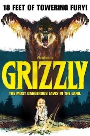 Grizzly poszter