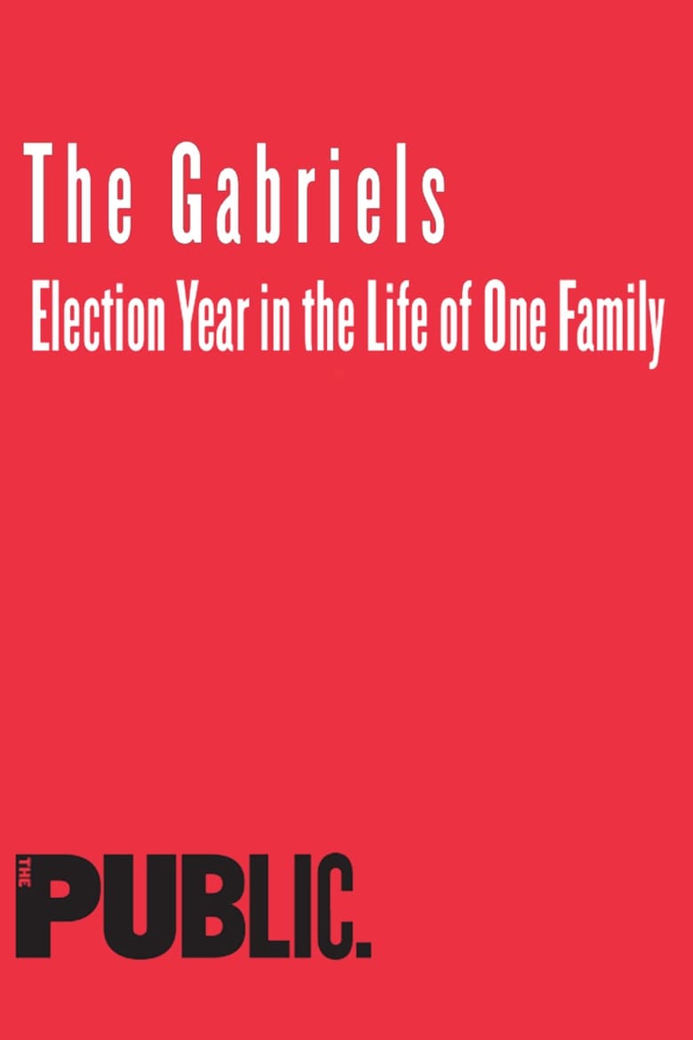 The Gabriels: Election Year in the Life of One Fam