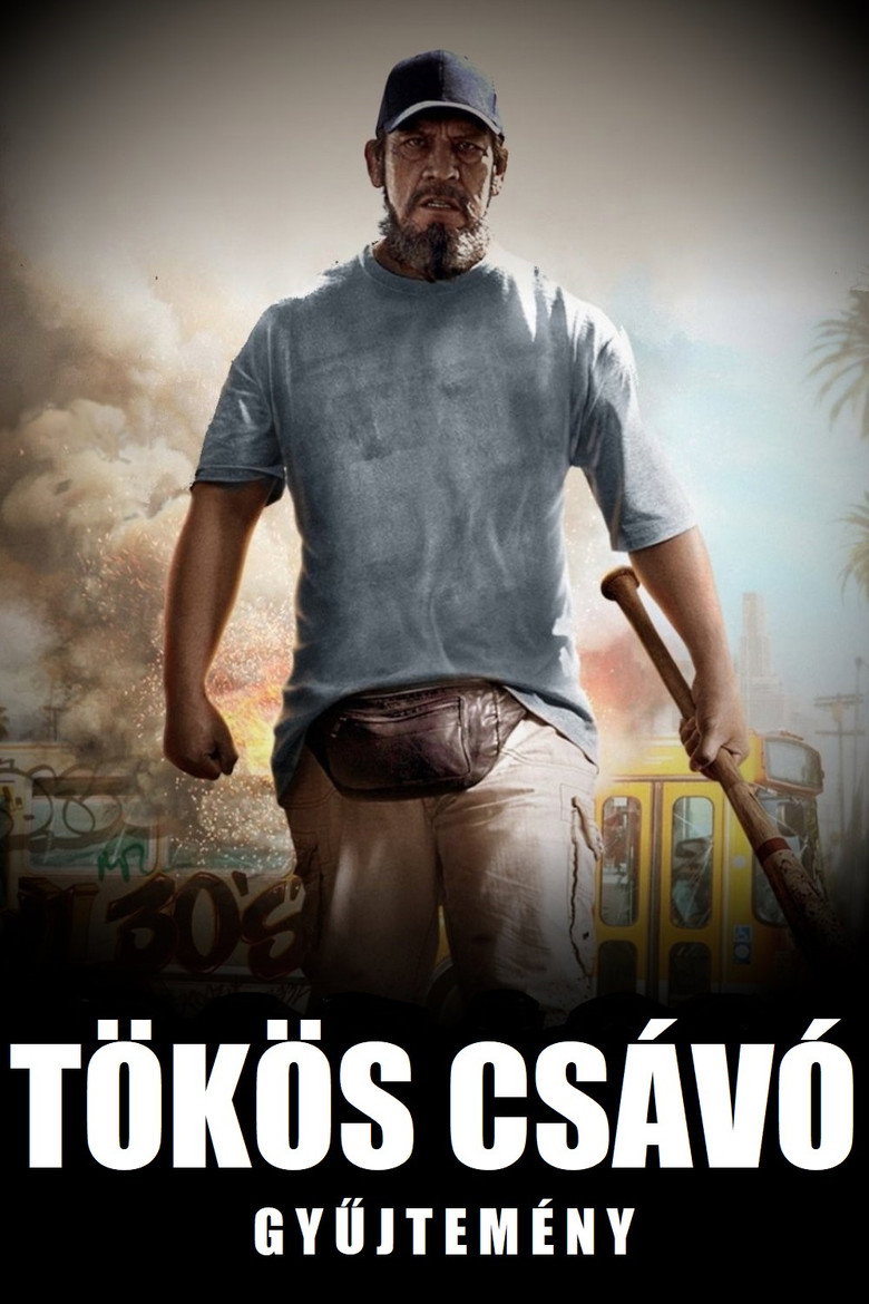 Tökös csávó Gyűjtemény