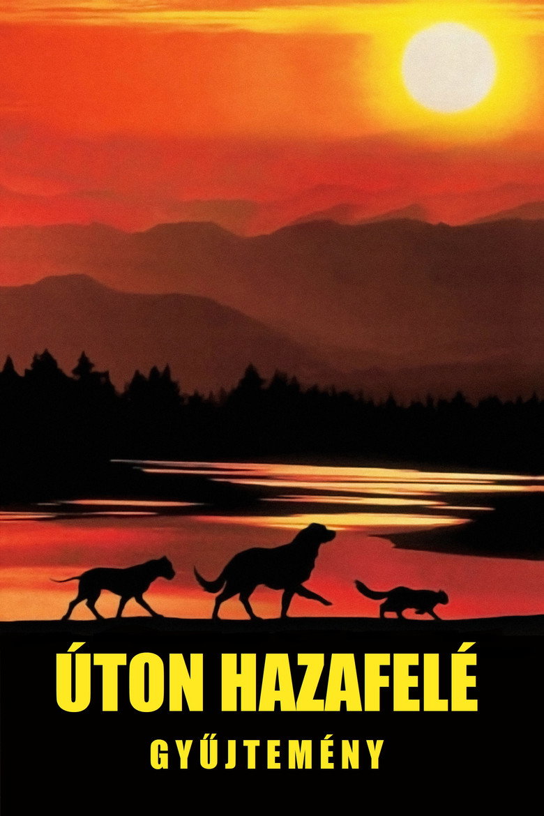 Homeward Bound Collection